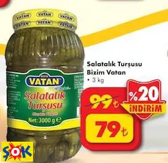 BİZİM VATAN SALATALIK TURŞUSU 3 KG